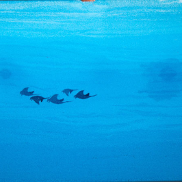 蒼い海に抱かれて悠々と泳ぐマンタの家族のサンドアート画像